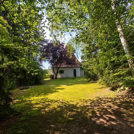 Jestrebice 8 By Interhome * Dobren