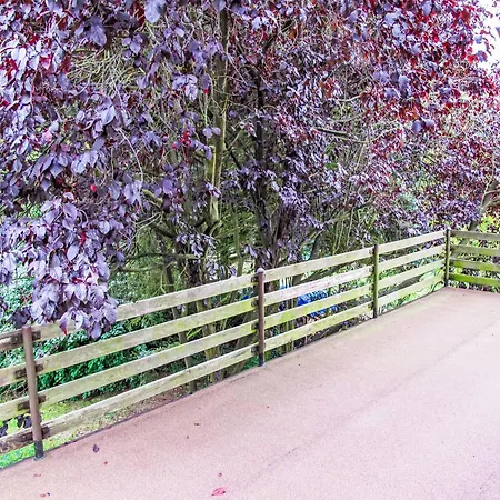 Jestrebice 8 By Interhome