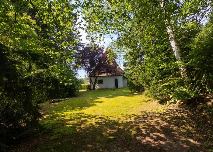 Jestrebice 8 By Interhome * Dobren