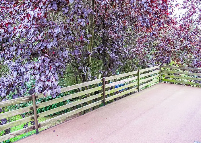 Jestrebice 8 By Interhome